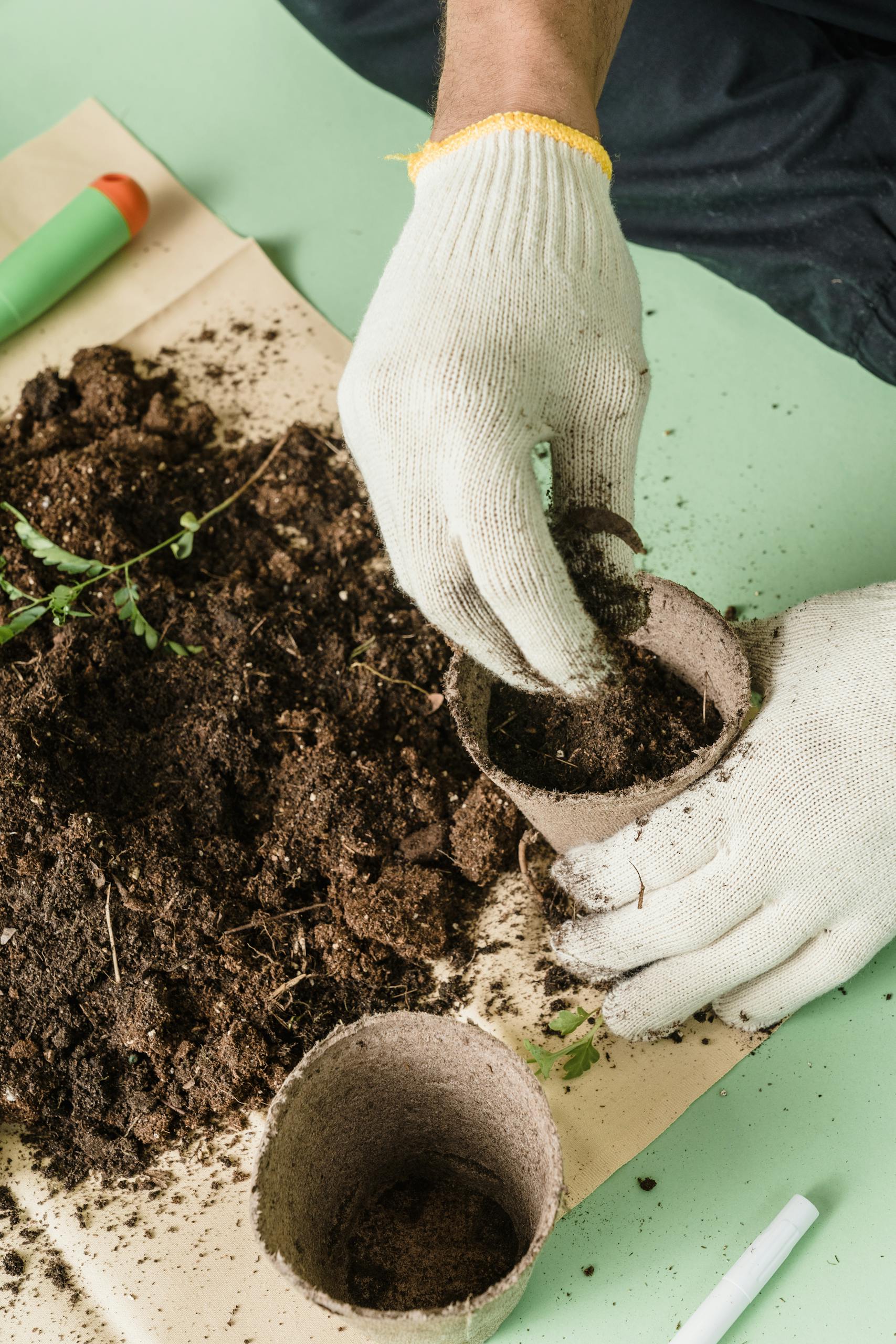 Hands planting succulents in a triangular glass terrarium on a wooden table.